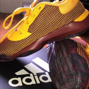 Arizona basketball shoes